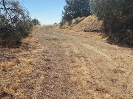 12333 Angel Wing Ln, Smartville, CA 95977 Photo