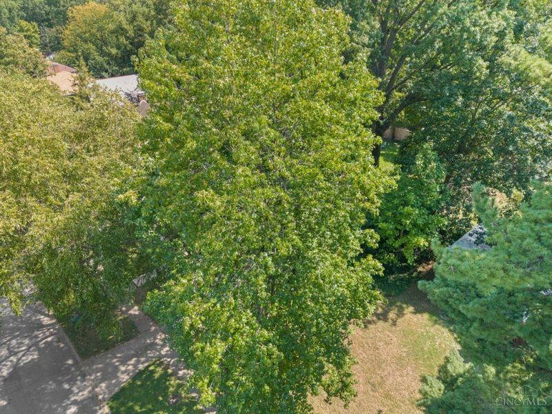 6348 Hamilton Avenue, Cincinnati, OH 45224 Photo 37