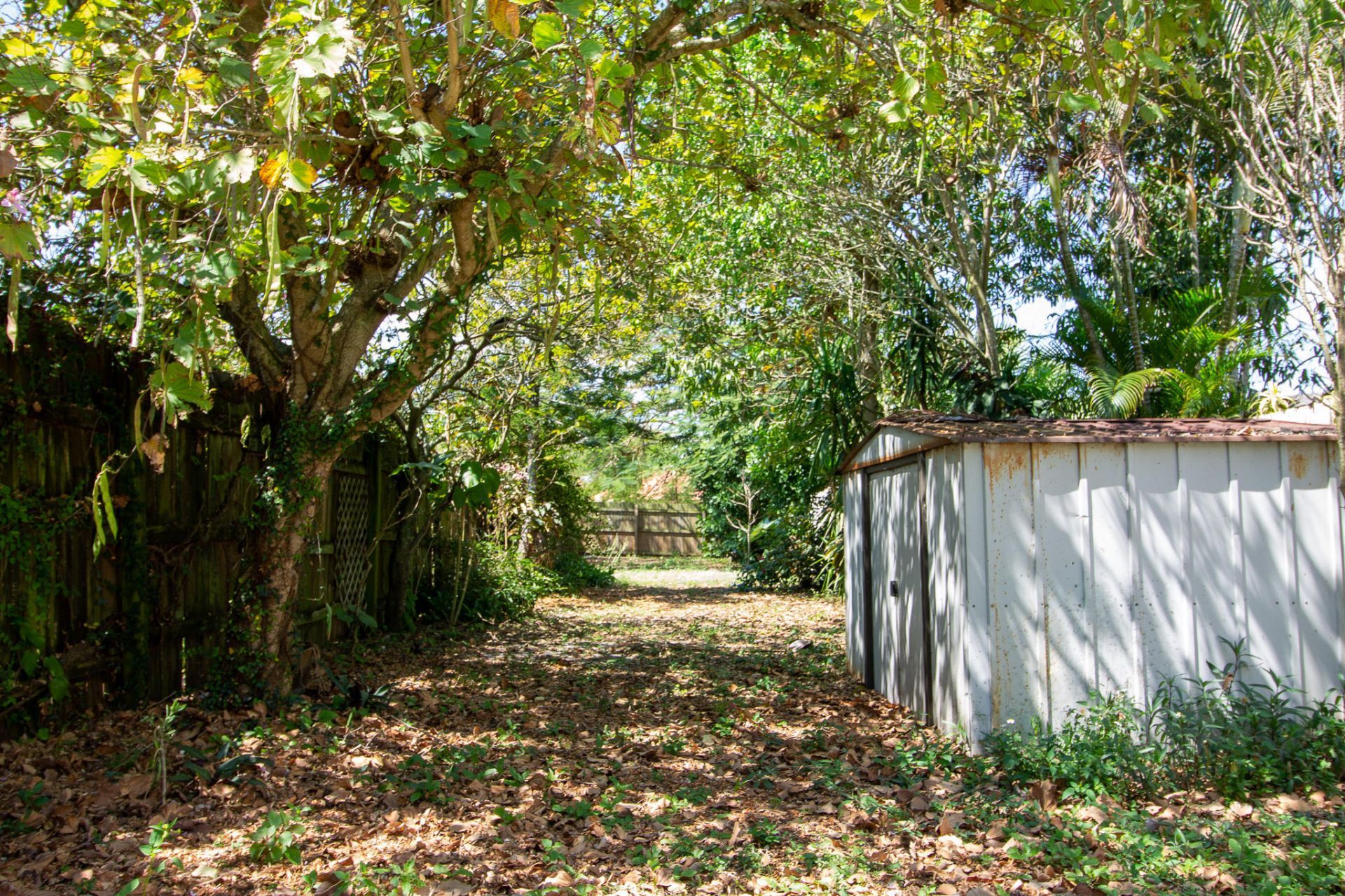 1435 White Pine Drive, Wellington, FL 33414 Photo