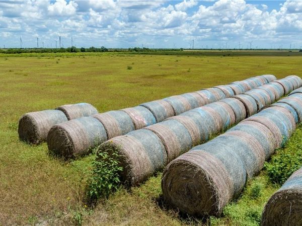 0 County Road 647, Mathis, TX 78368