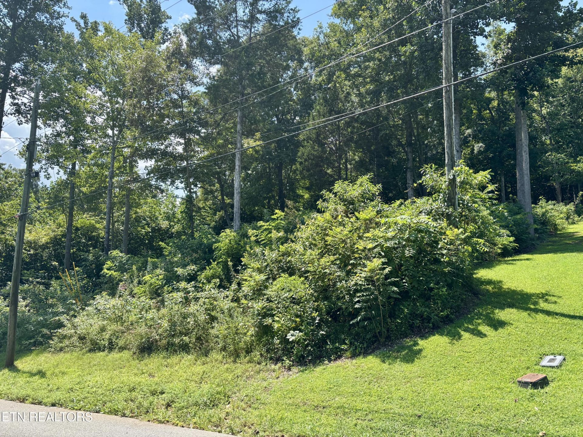Hickory , Maynardville, TN 37807 Main Photo