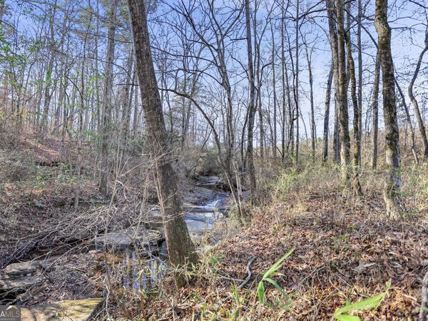 52.2 AC Franklin Parkway, Franklin, GA 30217