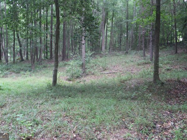 330 Mountain View Road, Lavonia, GA 30553