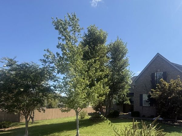 1310 Precept Dr , Murfreesboro, TN 37129