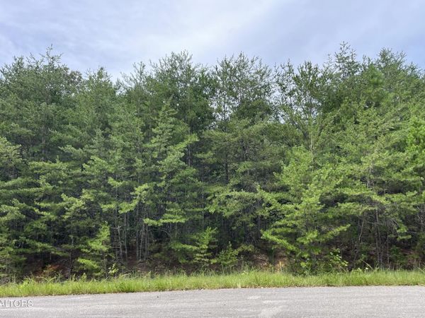 742 White Dogwood Rd , Unit 13, Cosby, TN 37722