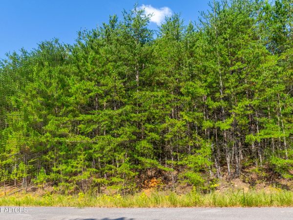 742 White Dogwood Rd , Unit 13, Cosby, TN 37722