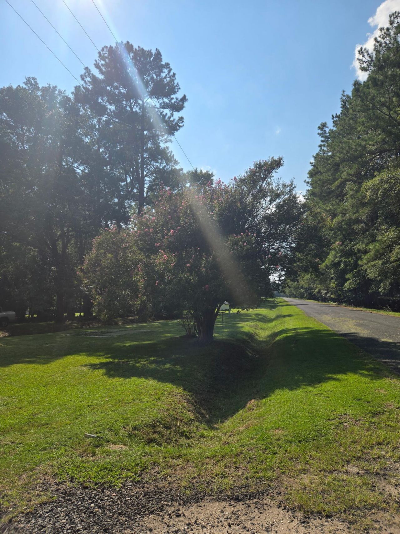 1081 Homestead Photo 11