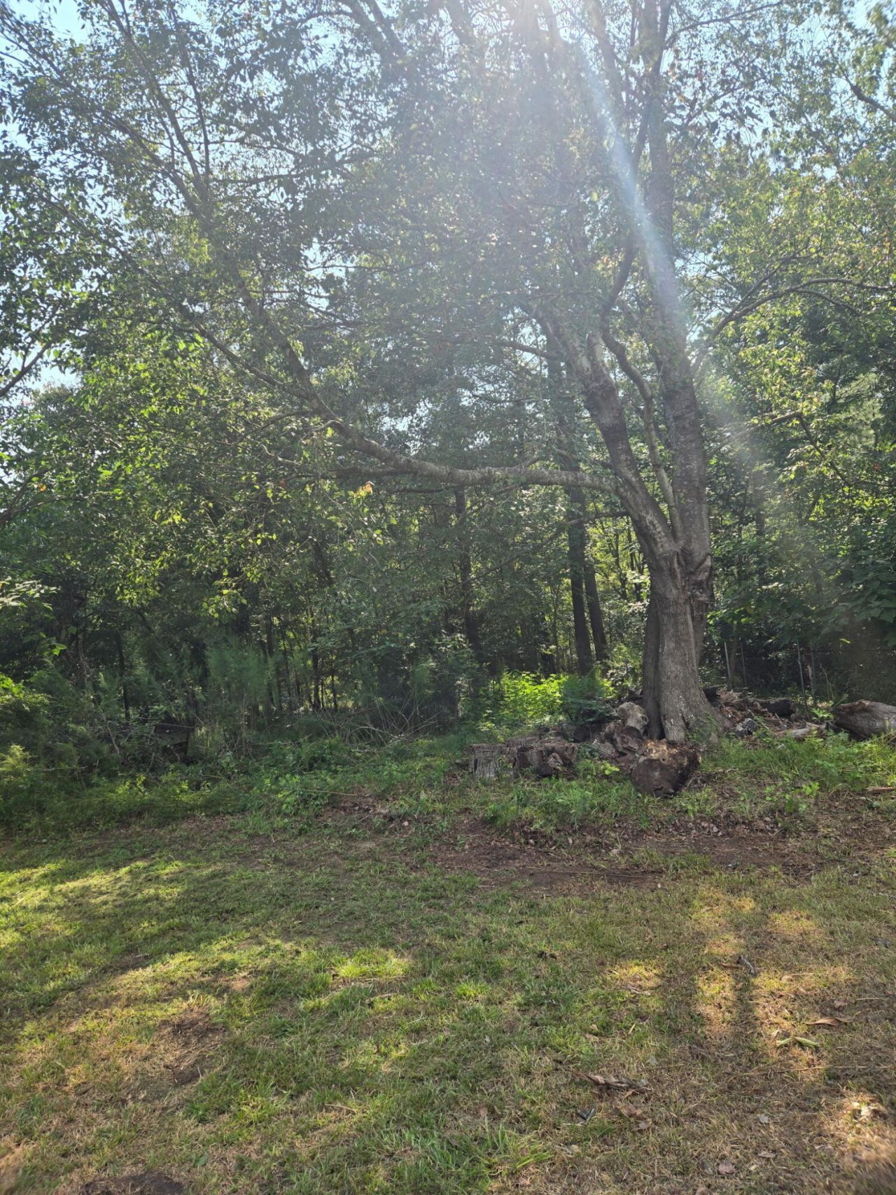 1081 Homestead Photo 12