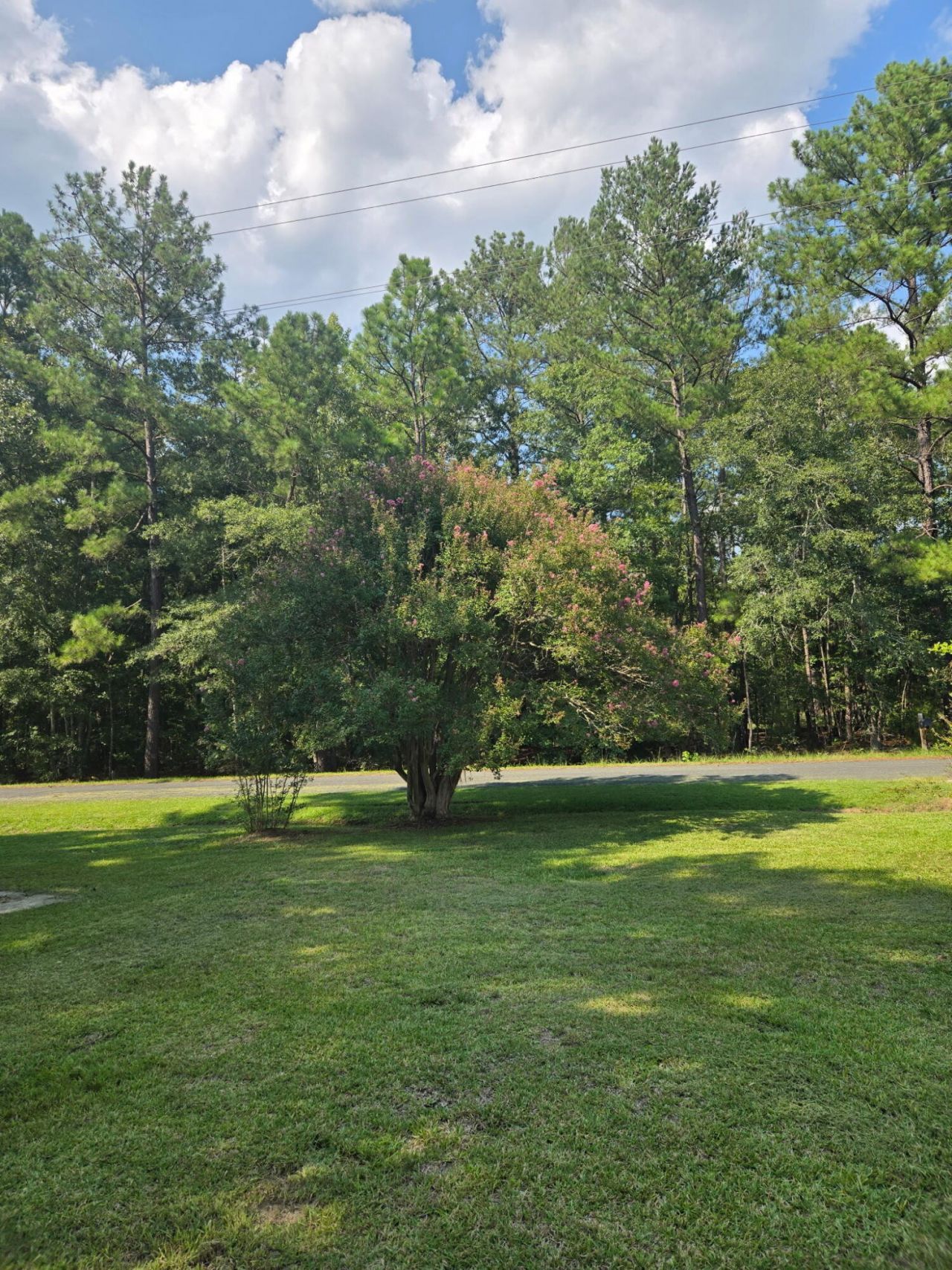 1081 Homestead Photo 13