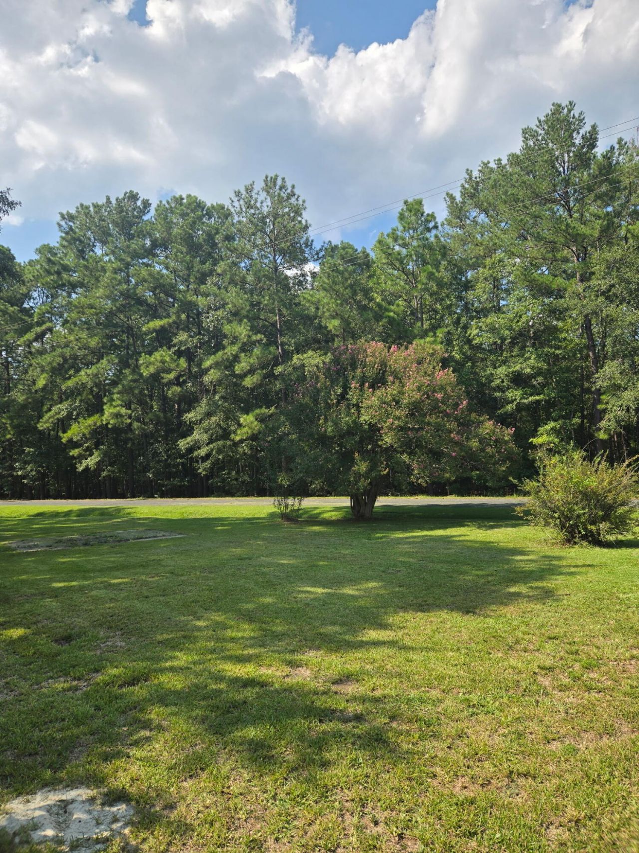 1081 Homestead Photo 14