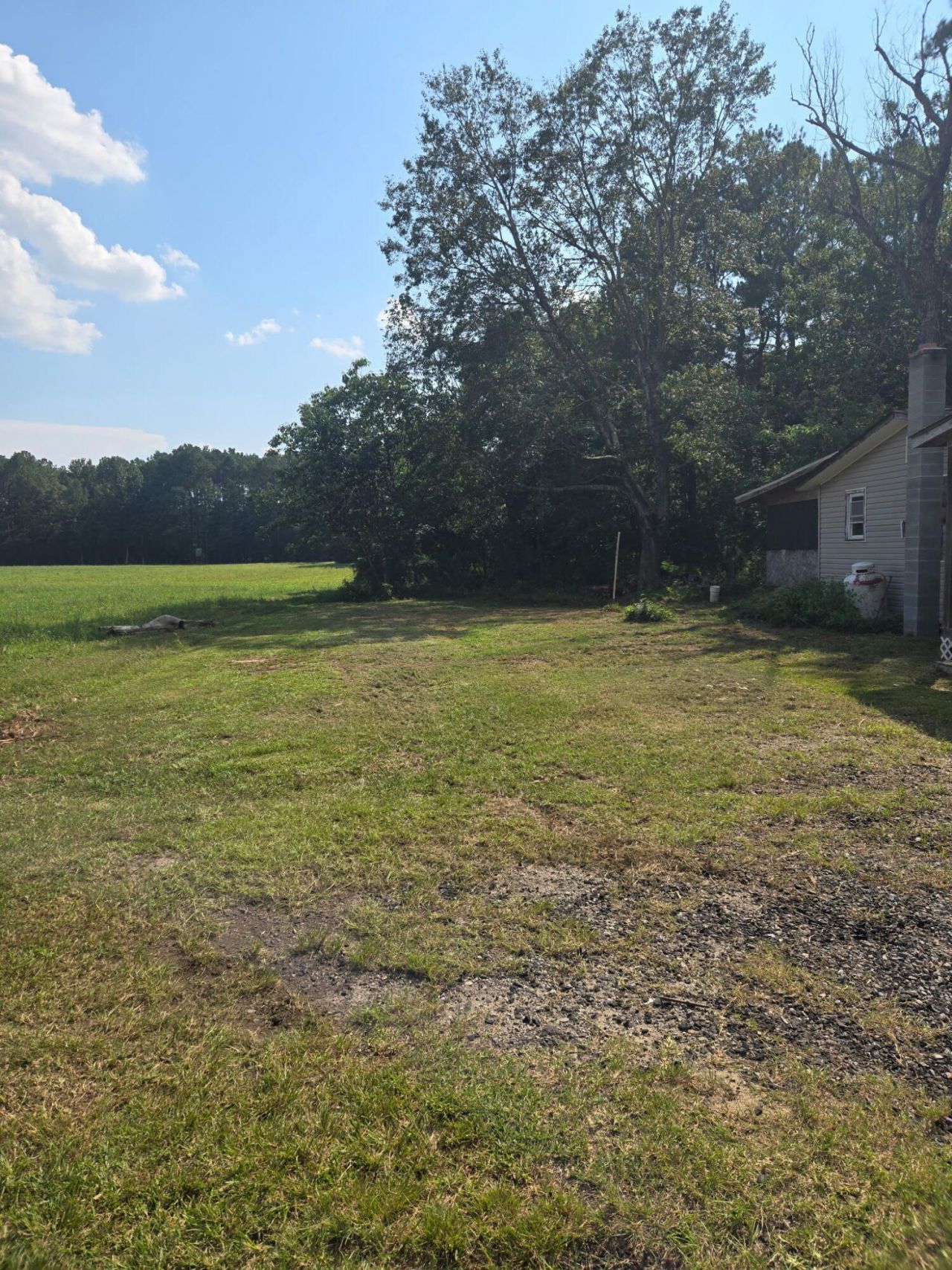 1081 Homestead Photo 15