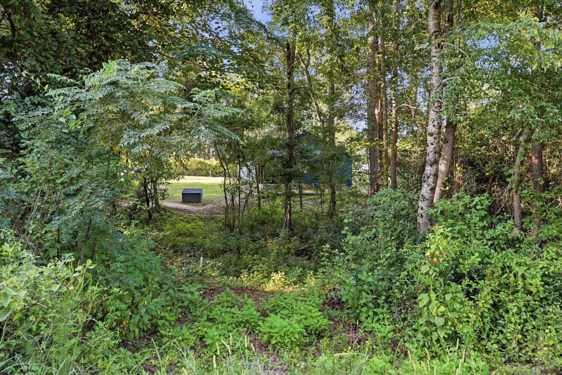 301 Country Club Road Photo 28