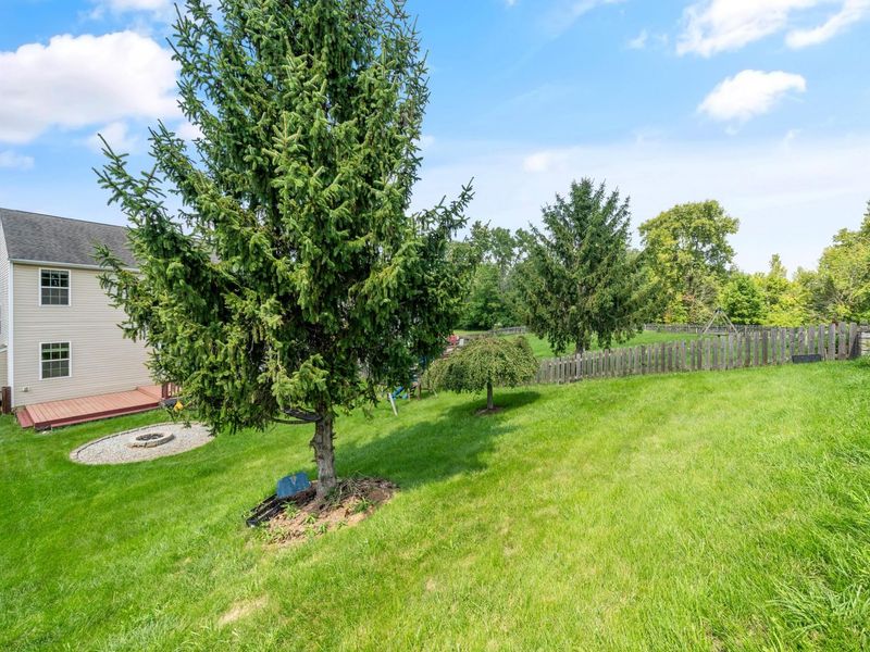 568 Stone Shadow Drive, Blacklick, OH 43004 Photo 57