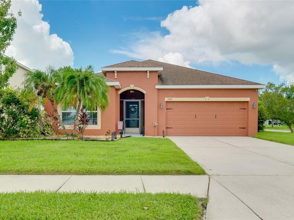 7919 113TH AVE E AVENUE E, PARRISH, FL 34219