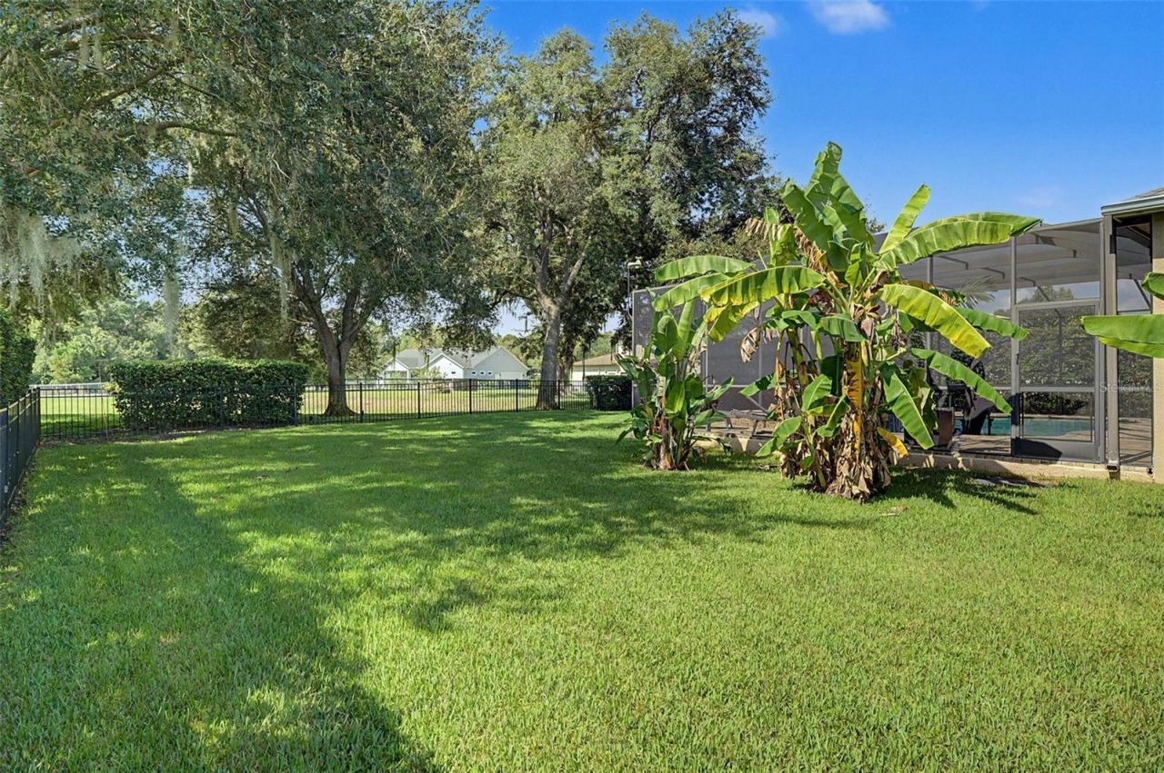 19724 Prince Benjamin Drive, Lutz, FL 33549 Photo