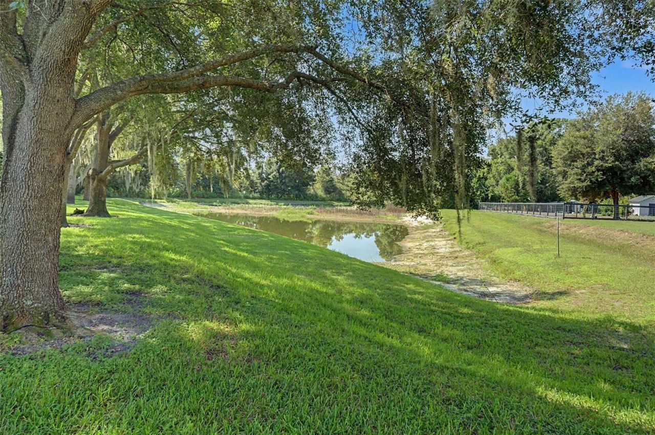 19724 Prince Benjamin Drive, Lutz, FL 33549 Photo