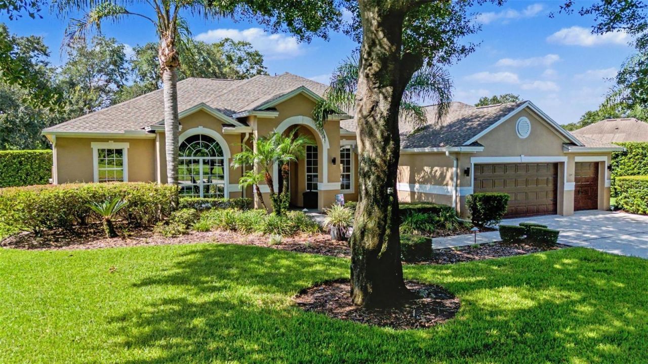 19724 Prince Benjamin Drive, Lutz, FL 33549 Photo