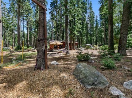1621 Spring Creek Road, South Lake Tahoe, CA 96150 Photo