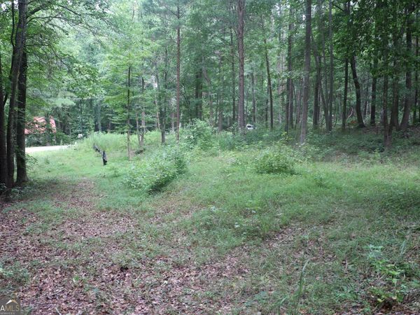 304 Mountain View Road, Lavonia, GA 30553