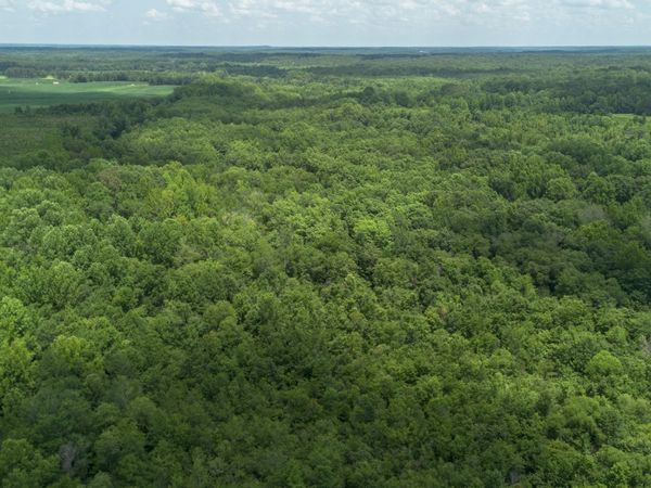 0 Smith Rd , Finger, TN 38334