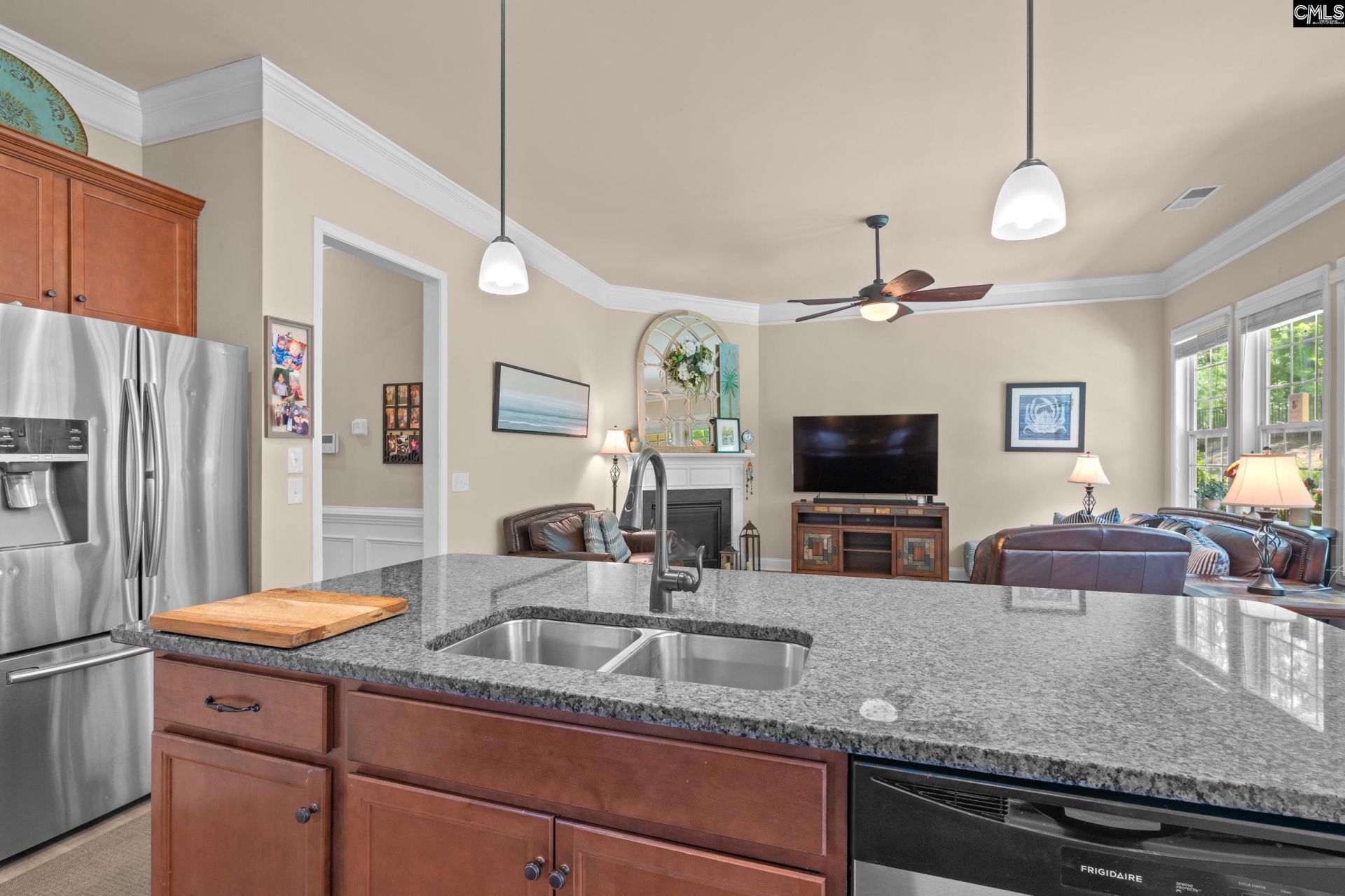 791 Carolina Aster Drive Photo 18