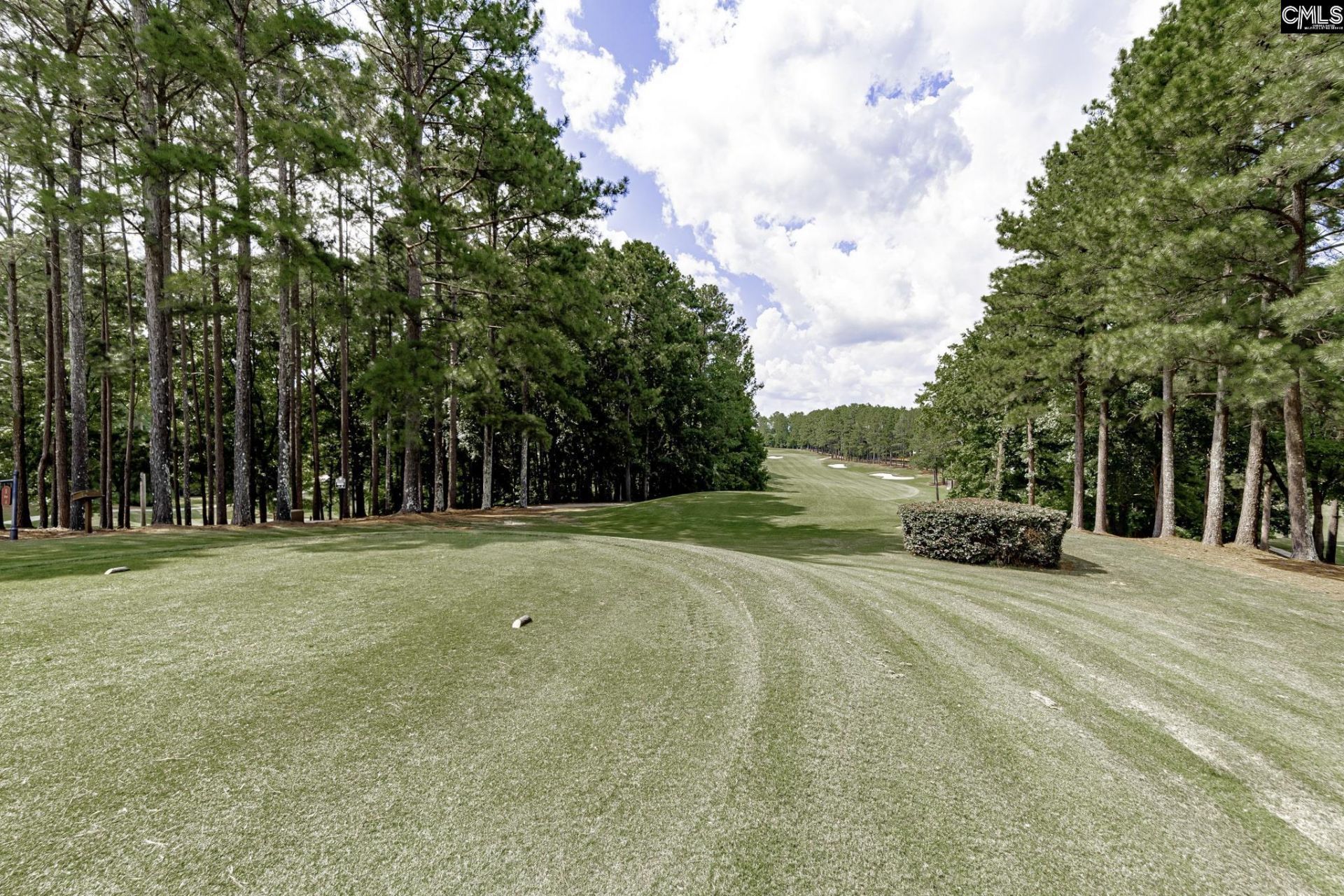 791 Carolina Aster Drive Photo 42