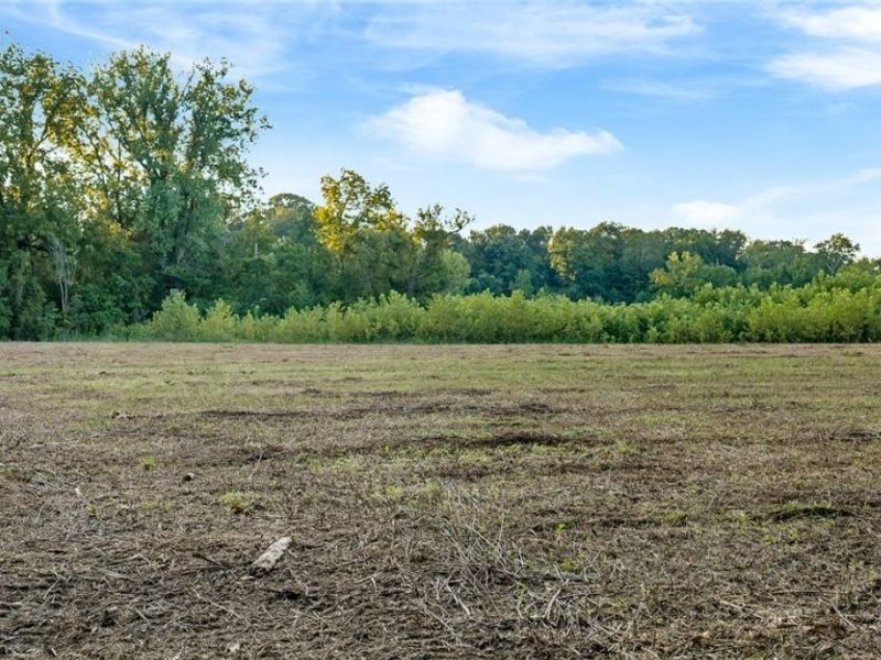 410 Columbia Road, Valley City, OH 44280 Photo 9