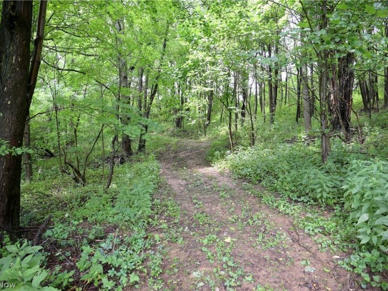 6075 Johnstown Road NE, Mineral City, OH 44656 Photo 17