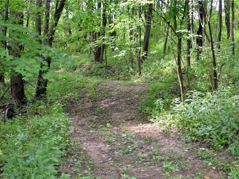 6075 Johnstown Road NE, Mineral City, OH 44656 Photo 18
