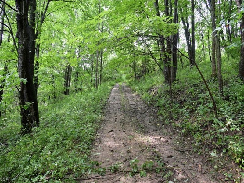 6075 Johnstown Road NE, Mineral City, OH 44656 Photo 19