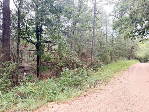 3 Spring Creed Road, Calico Rock, AR 72519