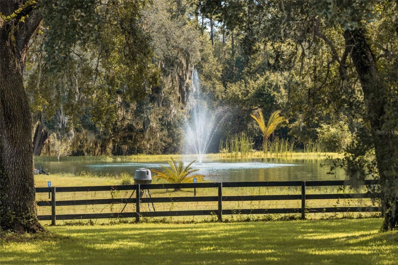 21411 Brookes Run Road, Brooksville, FL 34604 Photo