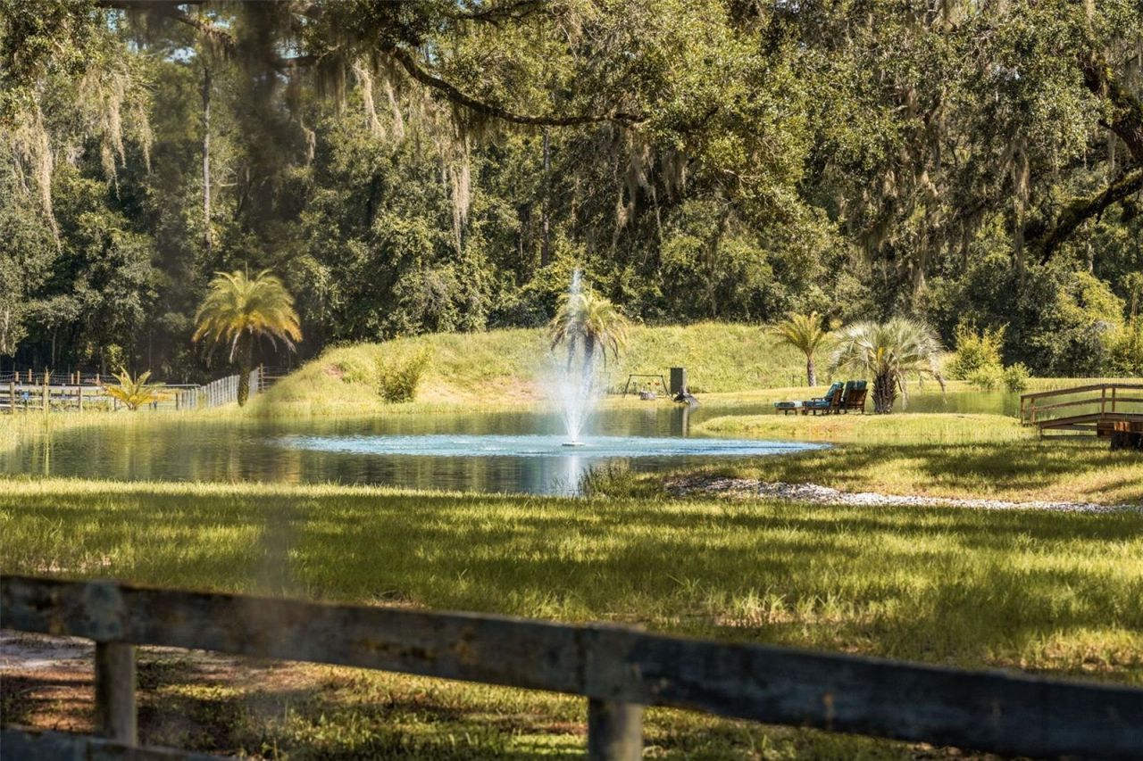 21411 Brookes Run Road, Brooksville, FL 34604 Photo