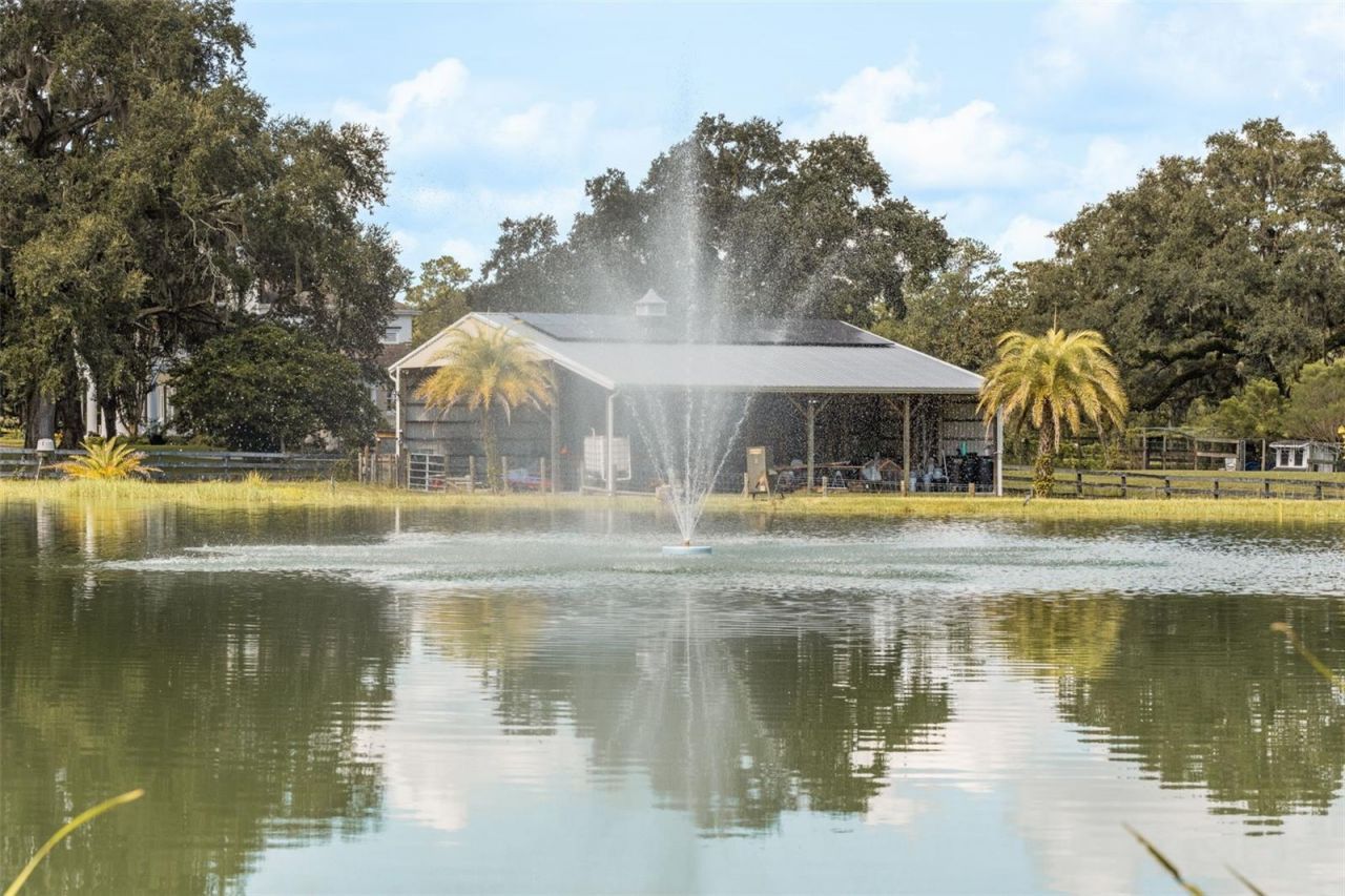 21411 Brookes Run Road, Brooksville, FL 34604 Photo