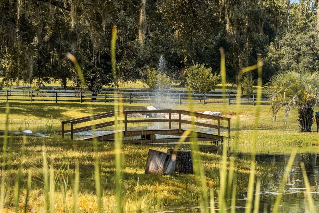21411 Brookes Run Road, Brooksville, FL 34604 Photo