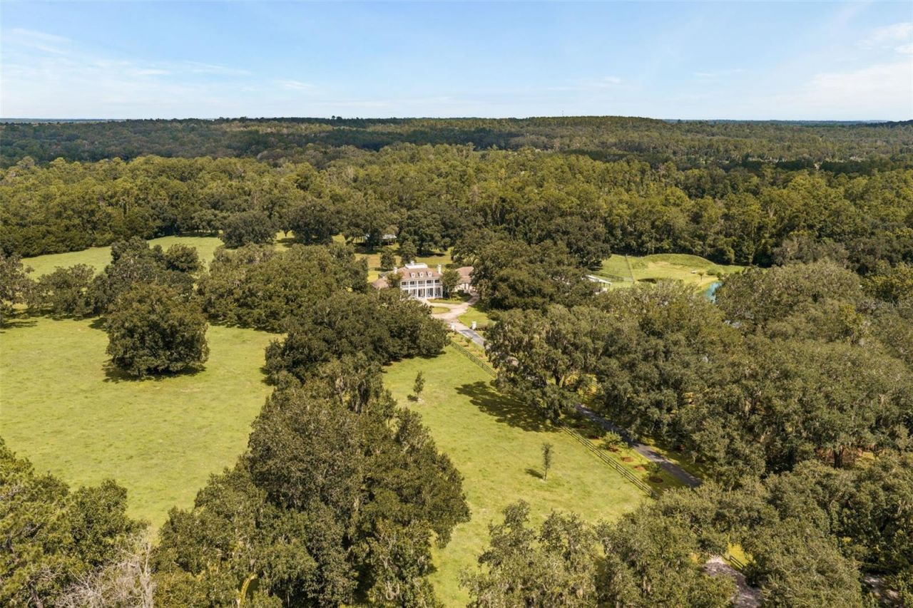 21411 Brookes Run Road, Brooksville, FL 34604 Photo