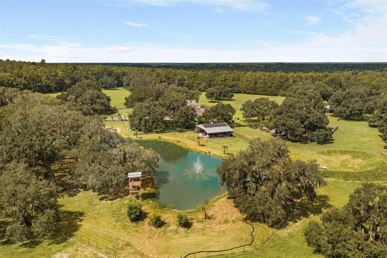 21411 Brookes Run Road, Brooksville, FL 34604 Photo