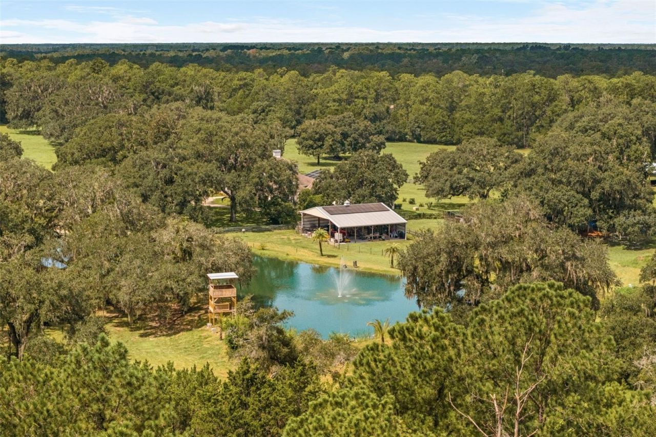 21411 Brookes Run Road, Brooksville, FL 34604 Photo