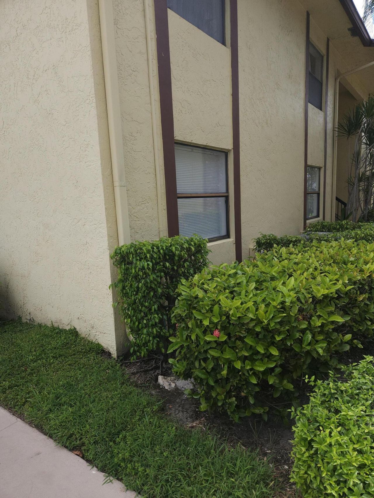 10035 Winding Lake Road, Unit 102, Sunrise, FL 33351 Photo