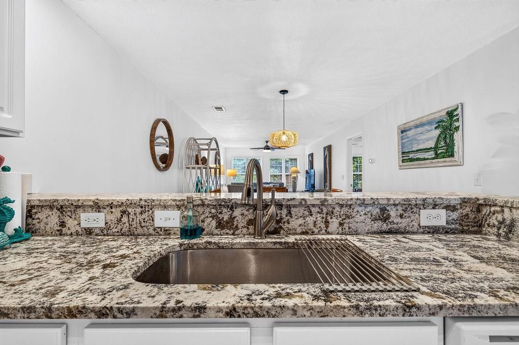 245 Egret Run Ln. Photo 9