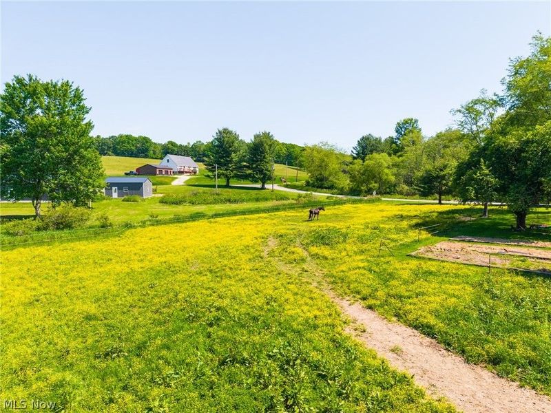 4151 Norse Road, Salineville, OH 43945 Photo 39