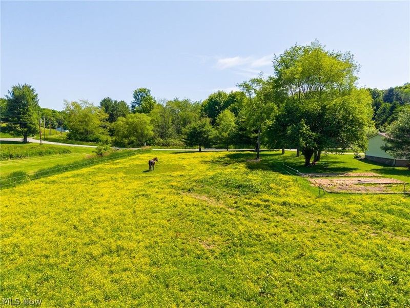 4151 Norse Road, Salineville, OH 43945 Photo 40