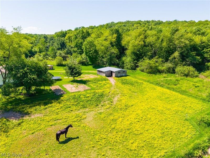 4151 Norse Road, Salineville, OH 43945 Photo 43