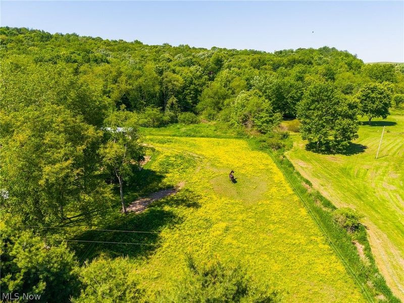 4151 Norse Road, Salineville, OH 43945 Photo 44