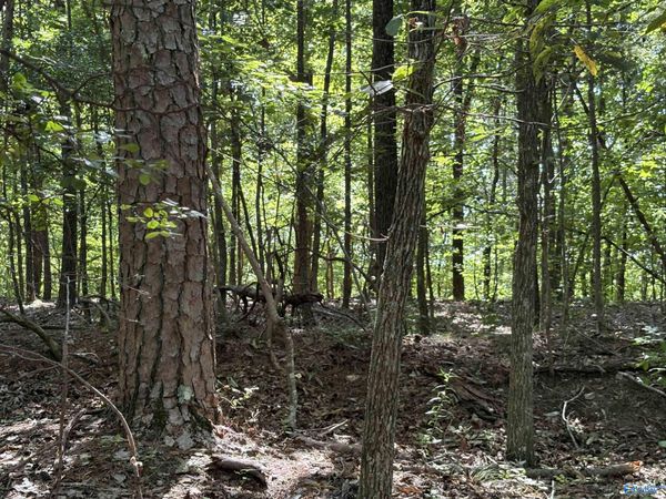 1500 County Highway 103, Unit Lot 52, Mentone, AL 35984