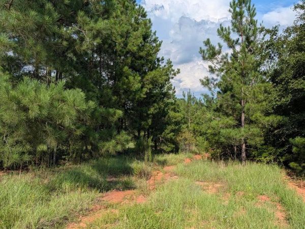 0 Nelson Lane, Louisville, GA 30434