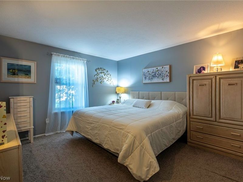 419 Ridgewood Drive, Eastlake, OH 44095 Photo 21