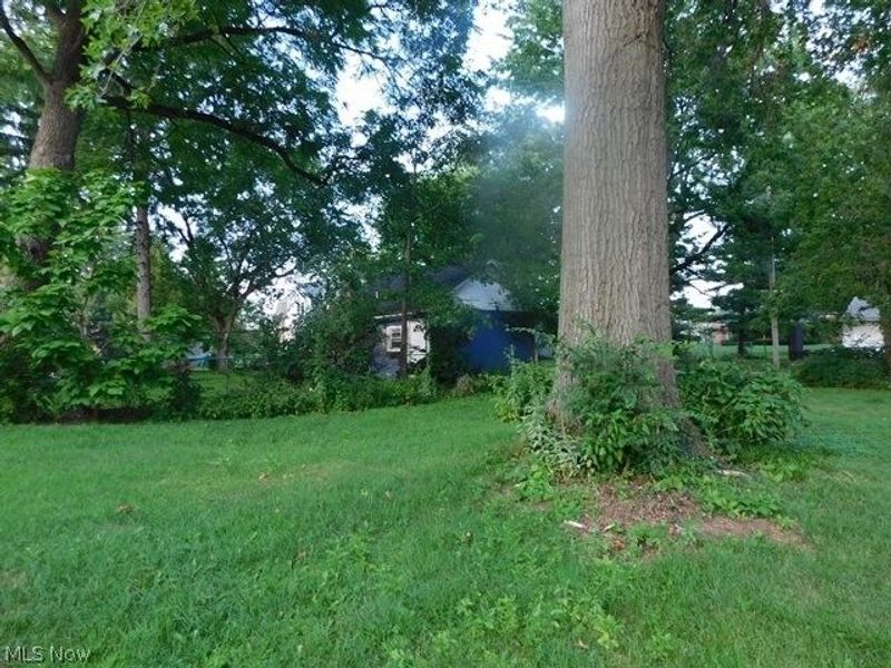 142 Beech Street, Berea, OH 44017 Photo 21