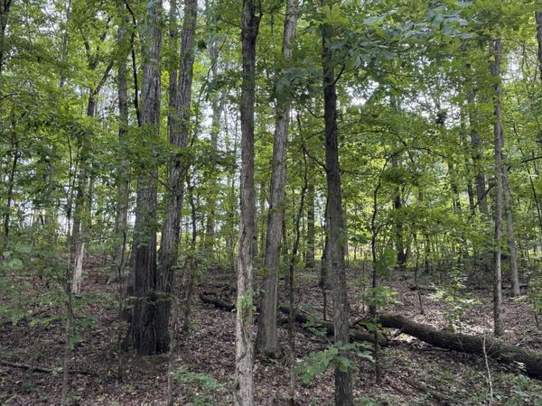 1ac Sunnyside Rd, Philadelphia, TN 37846