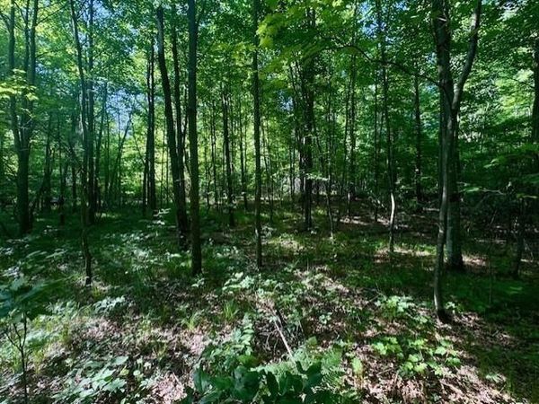 N8823 DICKERSON AVENUE, Willard, WI 54493